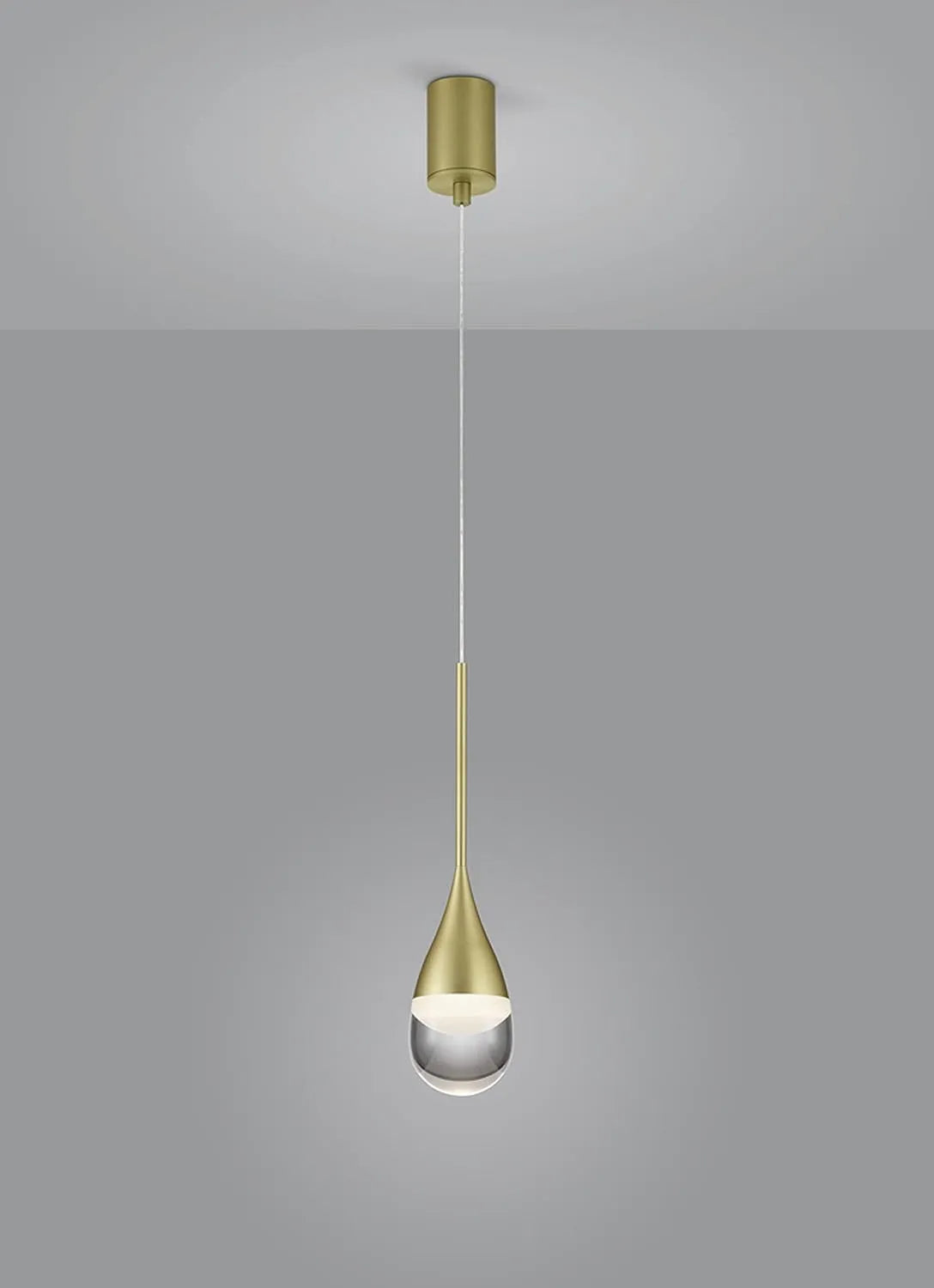 Pendelleuchte LED Modell 1-flammig Helestra Deep, gold matt