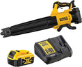 DeWalt, axial sin escobillas XR 18V con 1 batería Li-Ion 5Ah, Multicolor, Buse concent. flux d'air, Avec batterie